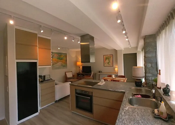 Casa Flavia By Holap Sa Ascona